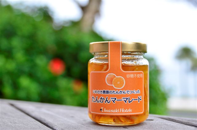 鹿児島　岩崎屋　いわさきや　たんかんマーマレード