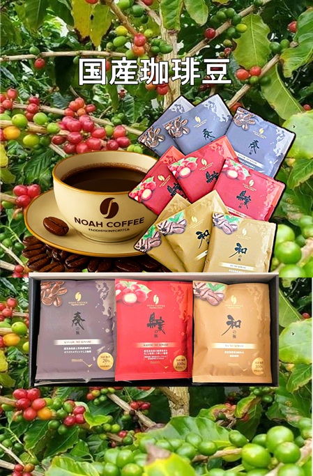 鹿児島　岩崎屋　いわさきや　国産珈琲ドリップ3種の極セット「和+果実+奏」