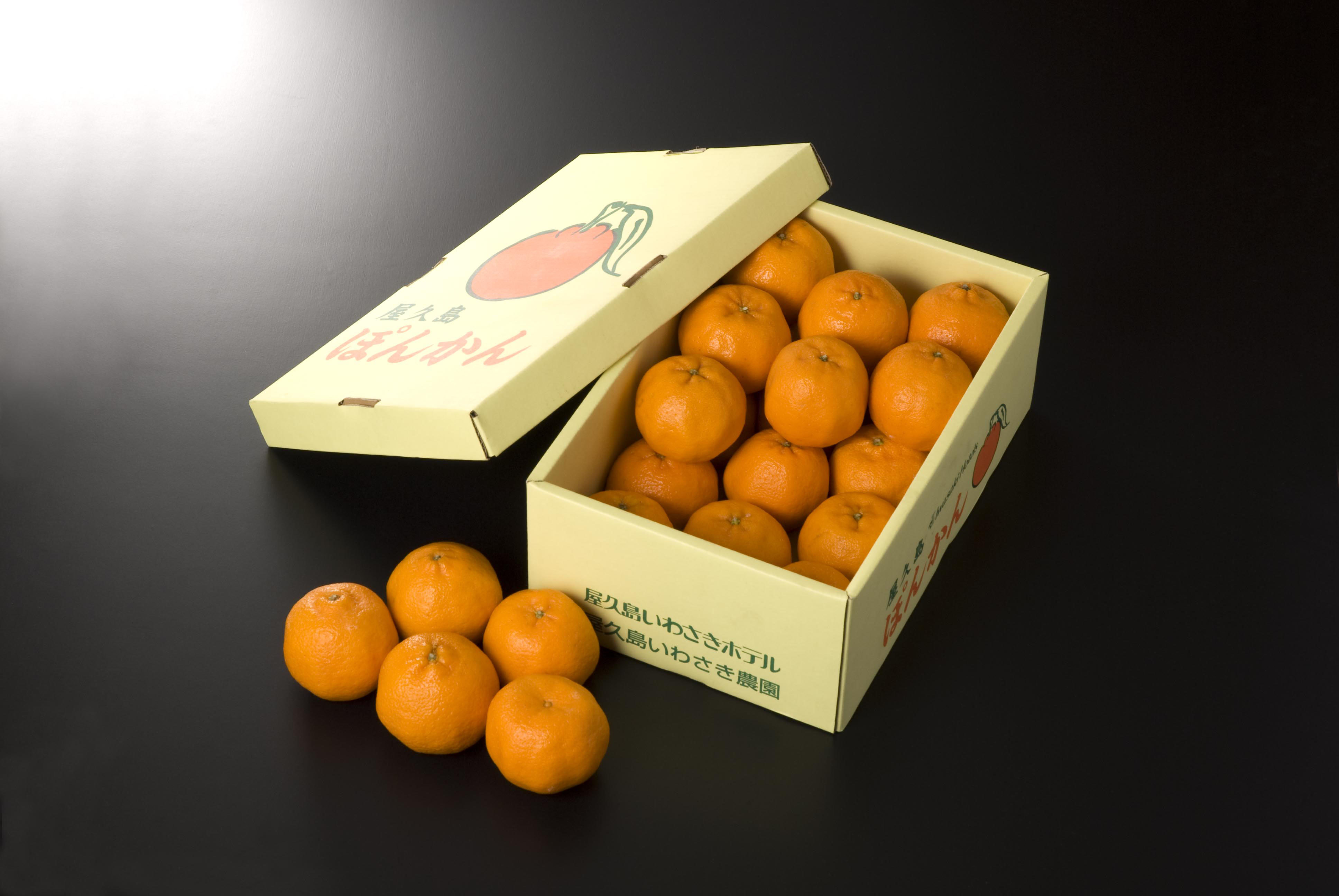 鹿児島　岩崎屋　いわさきや　屋久島産ぽんかん　M　27個入り