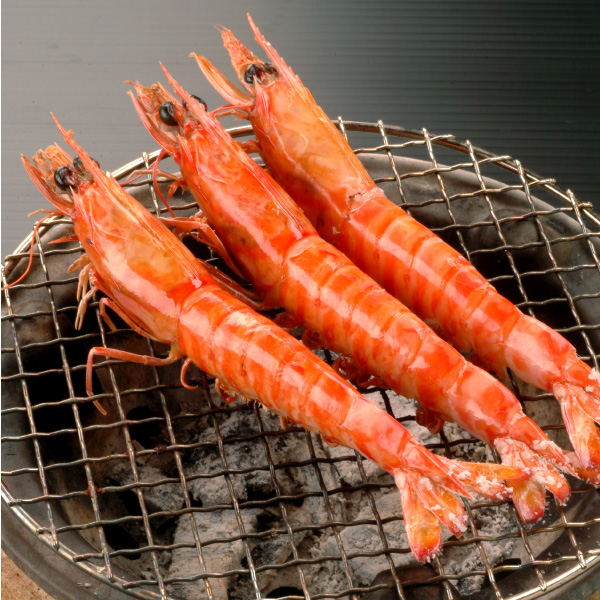 岩崎屋 いわさき活車海老 1kg